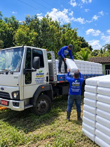 Silagem capim Brs Capiaçu á Venda em ARACAJU 