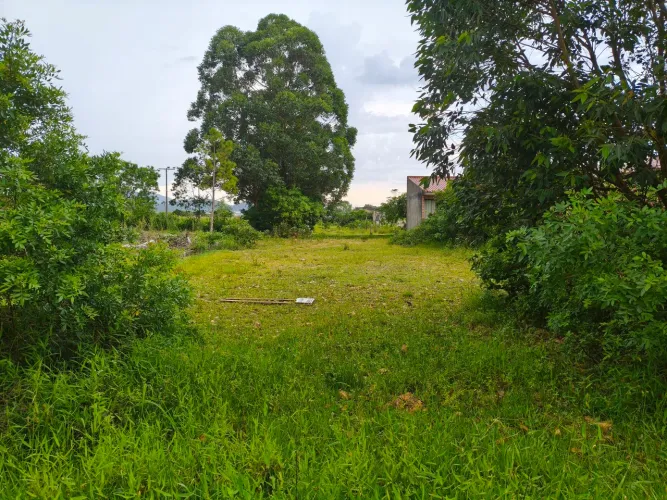 Terreno na palhocinha, atrás da mineoro.