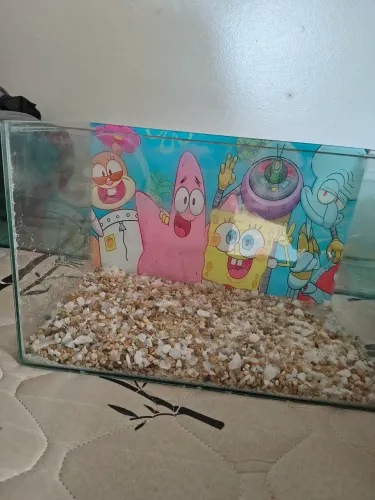 Aquário 24L