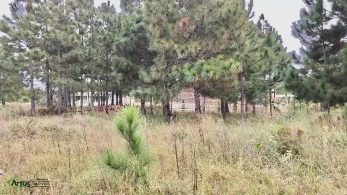 Terreno para Investimento