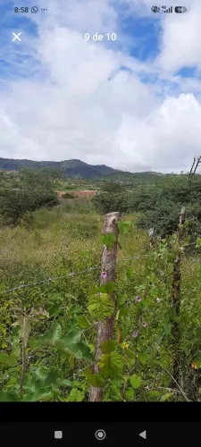 Terreno