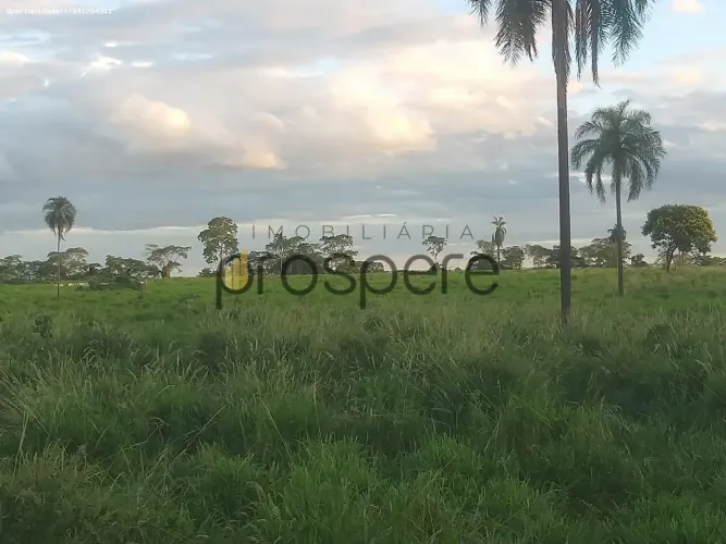 Fazenda para Venda em Santa Rita do Pardo, Rural