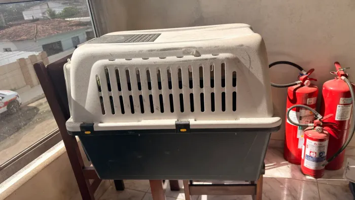 Caixa de Transporte para Cães Grande Porte