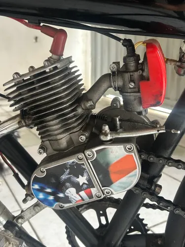 Bicicleta motorizada