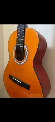 Viola Giannini.