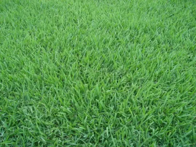 Terreno residencial de 960m² no Condomínio Mirante Royal Park, em Ribeirão Preto