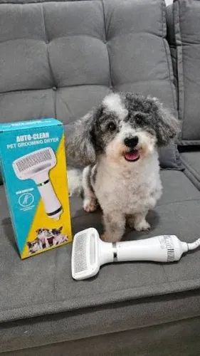 escova secadora 2 em 1 conforto e praticidade para seu pet