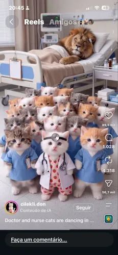 Cuidador de Petz