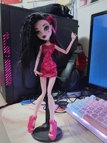 Monster high - Draculaura e Rochelle