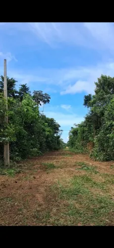 Lotes para construção de chácara 