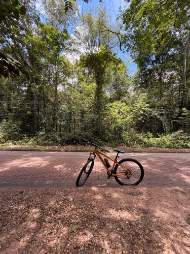 Bicicleta oggi