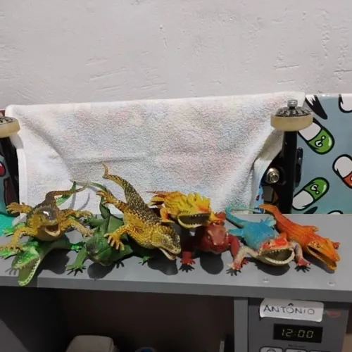 Lote de brinquedos de répteis