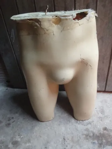 perna 
