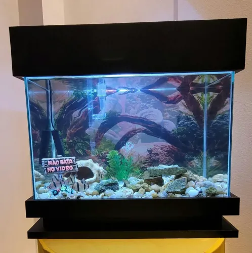Aquario completo