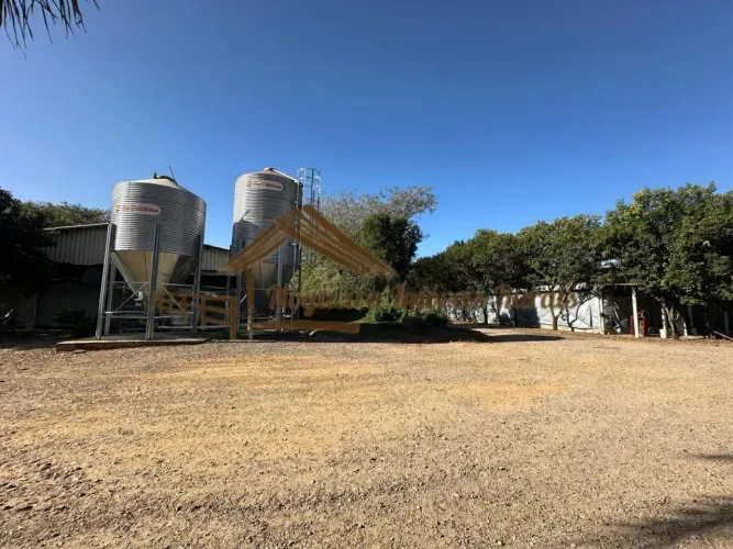 Sitio com granjas, área com 5,5 alqueires na região de Tatui/SP