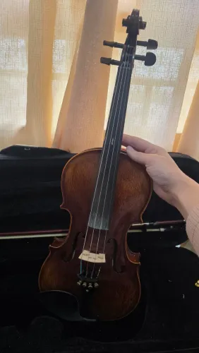 Violono Eagle Vk 644