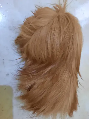 Porquinha da índia raça Peruana