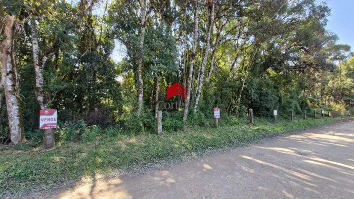 Área Rural com 20.000m² , à venda, no bairro Borda do Campo em São José dos Pinhais