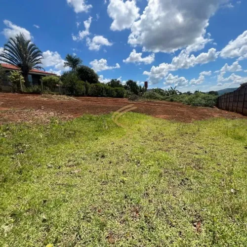 TERRENO CHÁCARA 1.000 m² - COM ESCRITURA, RESIDENCIAL RECANTO DAS AVES - TUIUTI