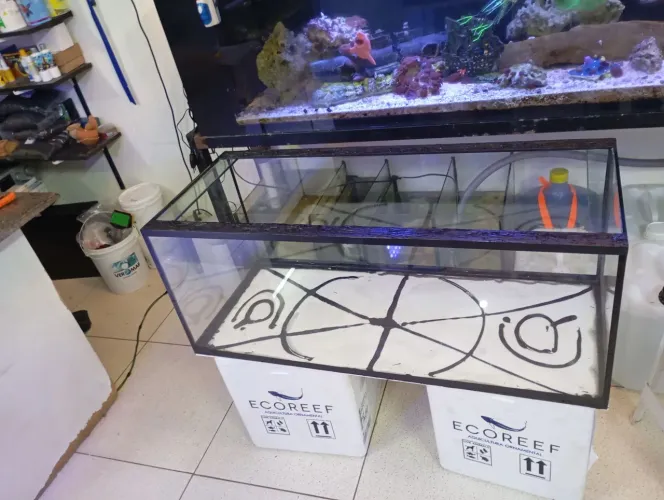 Aquário de um metro novo 