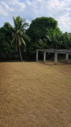 TERRENO EM SÃO PEDRO DA ALDEIA