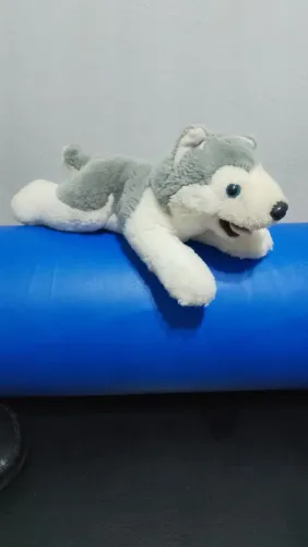 Brinquedo de pelúcia husky