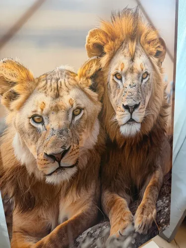 Quadro em tela 