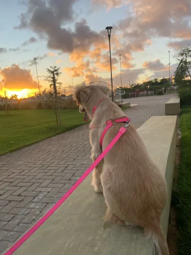 Doação