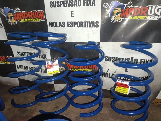 Molas esportivas Nissan March e Versa
