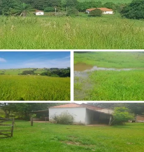 SITIO A VENDA 100 KM DE RIBEIRAO PRETO COM CASA