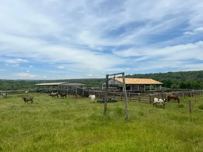 FAZENDA À VENDA PARANAÍBA/MS 104 ALQUEIRES