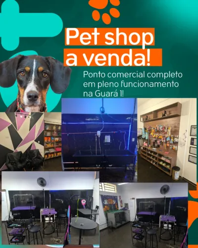 Pet shop a venda em pleno Funcionamento