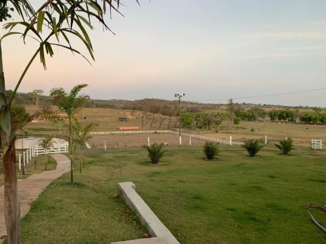 Fazenda Estilo Haras à Venda Distrito de Ferraz Rio Claro/SP