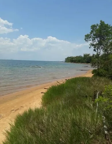 Vende se chácara sentido lajeado e barrolandia