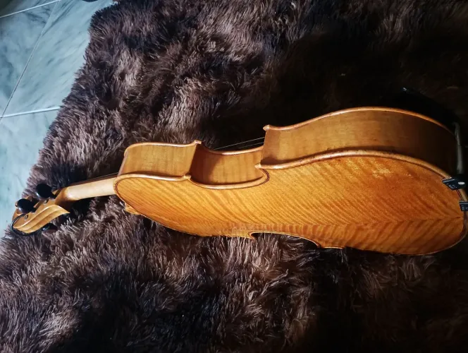 Viola de arco de autor.