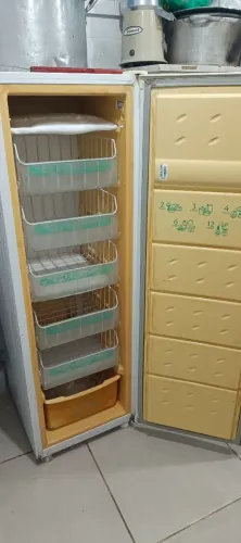 Freezer vertical
