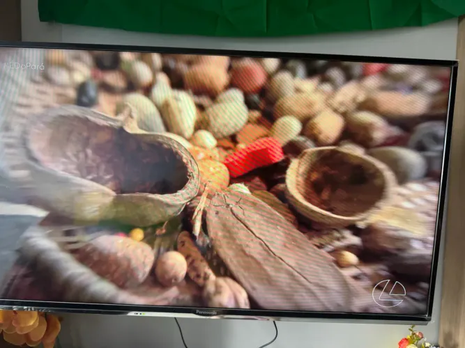 TV PANASONIC 40 PLEGADAA