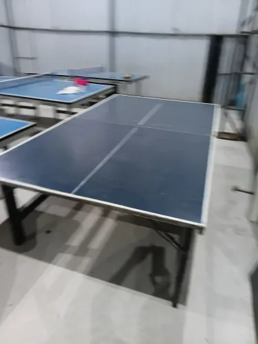 Mesa de tenis de mesa ( ping pong ) profissional