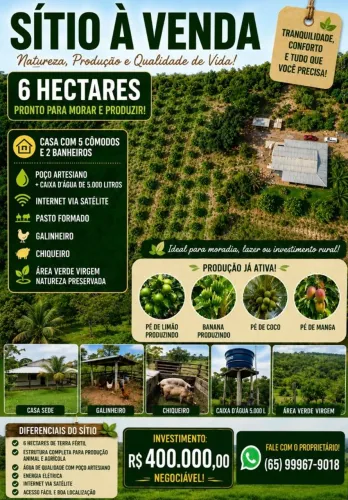 Venda sitio 6 hectares