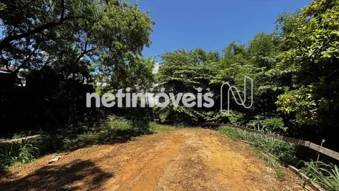 Venda Lote-Área-Terreno Cinquentenário Belo Horizonte