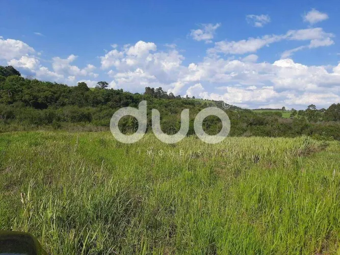 Terreno à venda, 5000 m² por R$ 350.000,00 - Recanto das Águas - Águas de São Pedro/SP