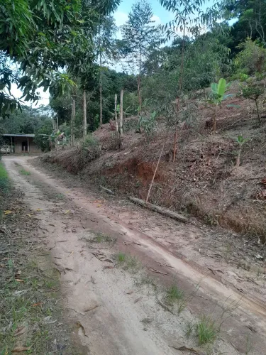 Sítio em cambucas silva jardim a dois(2)km do asfalto  tem três tanques  de peixe  