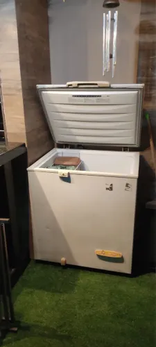 Freezee Horizontal Electrolux H210