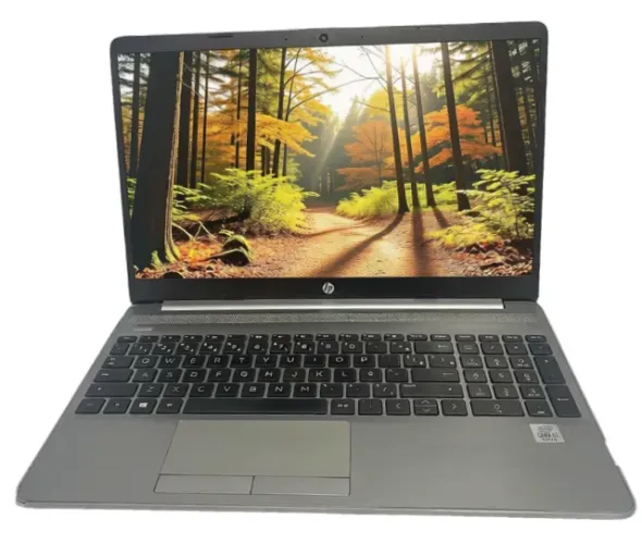 Notebook Hp 256 G8 Intel Core I3-10100 8gb 256gb Ssd Prateado