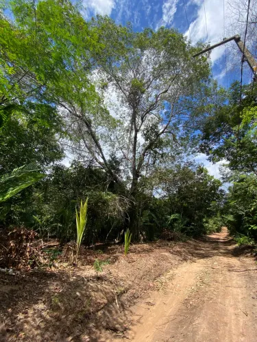Terreno em alter do chão 