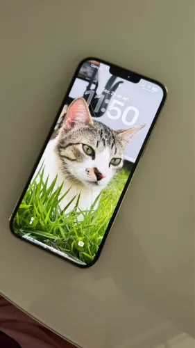 iPhone 13 Pro Max 256gb