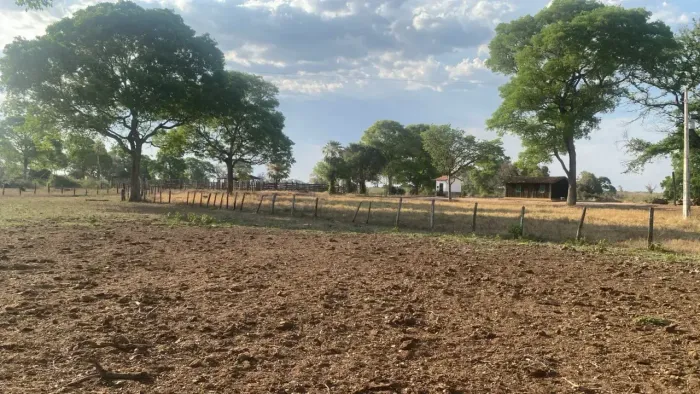 Fazenda à venda Região de Poconé/MT codigo: 365790