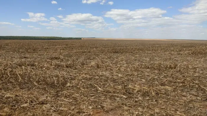 Fazenda à Venda em Nova Maringá MT | 5.000 ha | Lavoura de Soja e Milho | Estrutura Compl