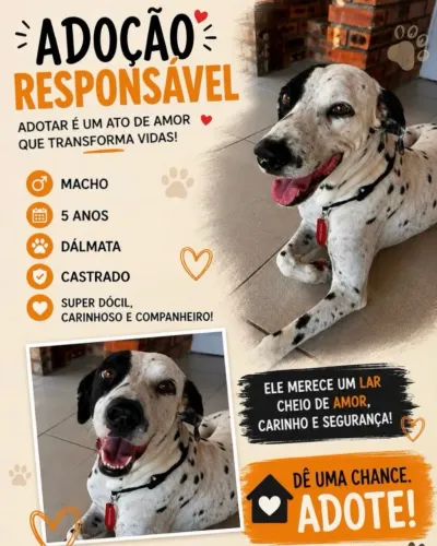 Doação