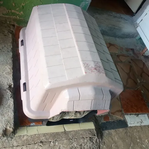 Casinha média para cachorro